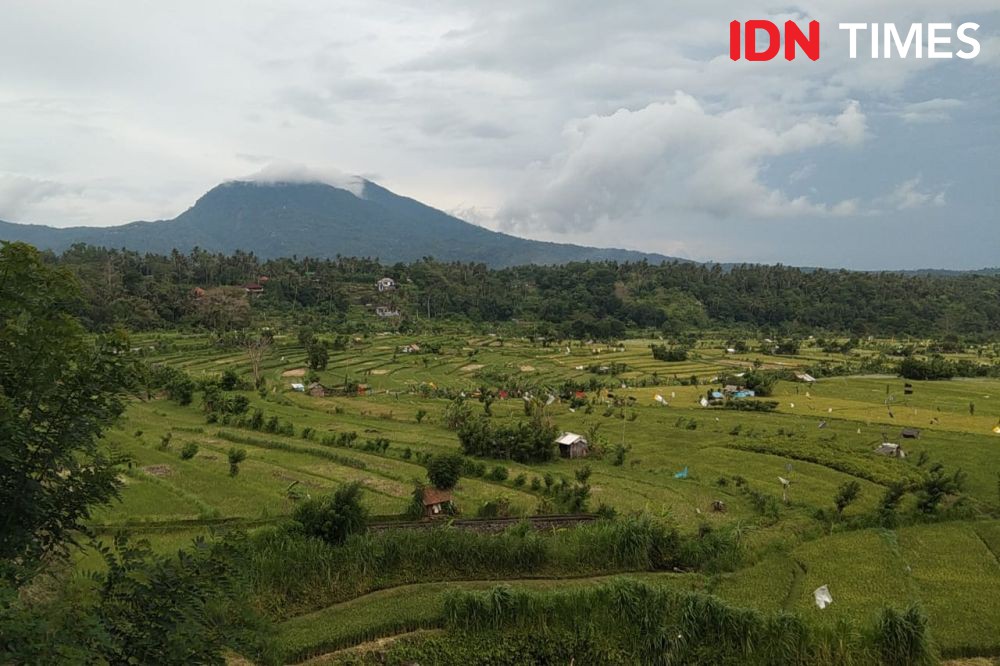 Bali Maksimalkan Sistem Subak, Kepengurusannya Jelas