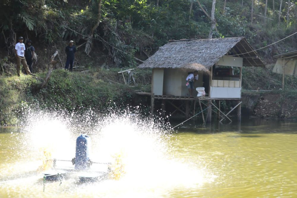 Warga Tasikmalaya Budi Daya Ikan dengan Kincir Angin