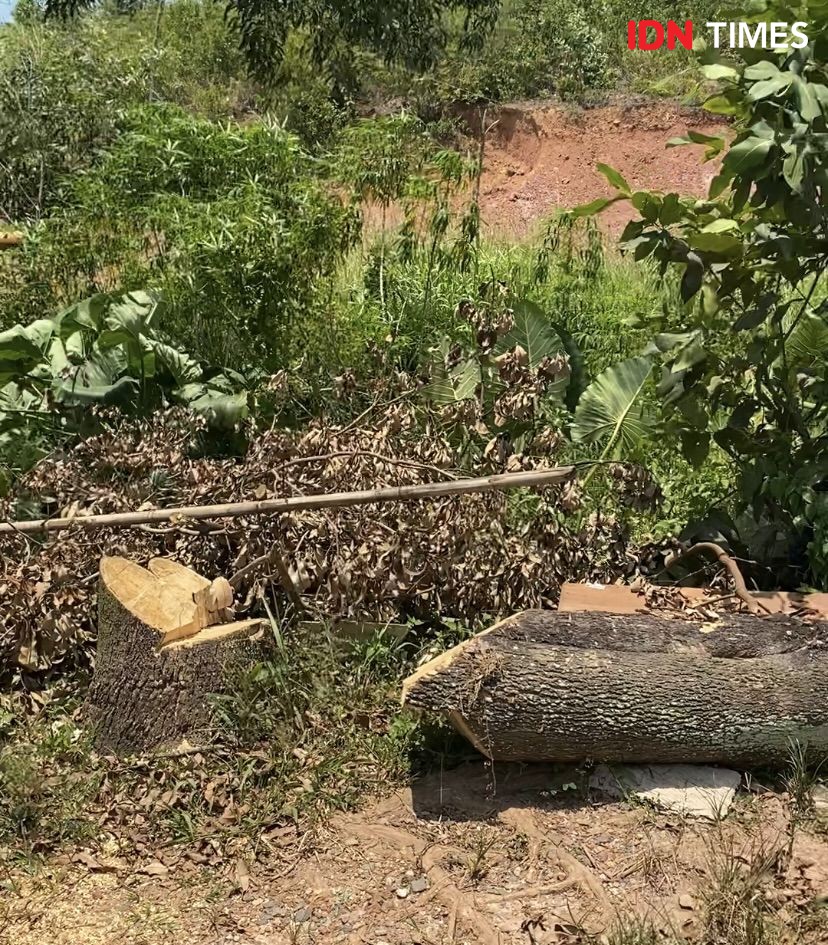 Usai Bentrok, Pohon Tumbang dan Truk di Jalanan Trans Barelang Hancur