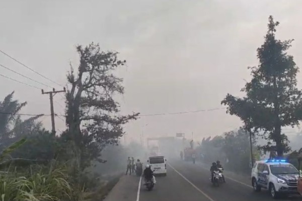 Asap Karhutla Selimuti Jalan Lintas Sumatra, Jarak Pandang Berkurang