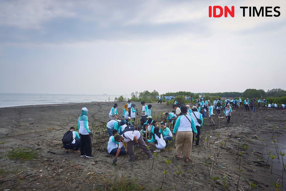 [FOTO] Perwira Pertamina Menjaga Pantai Tirang Tidak Hilang