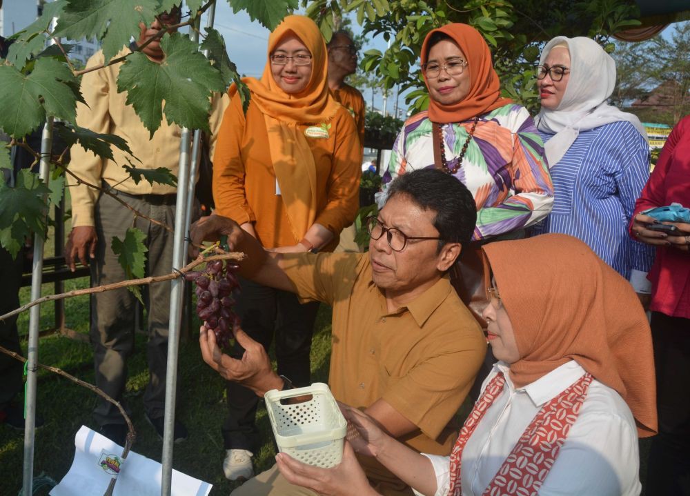 Petani di Kota Yogyakarta Tetap Produktif Meski Lahan Terbatas