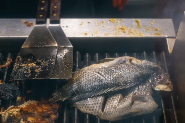 Anggota Tubuh Perempuan Ini Diamputasi akibat Ikan yang Kurang Matang