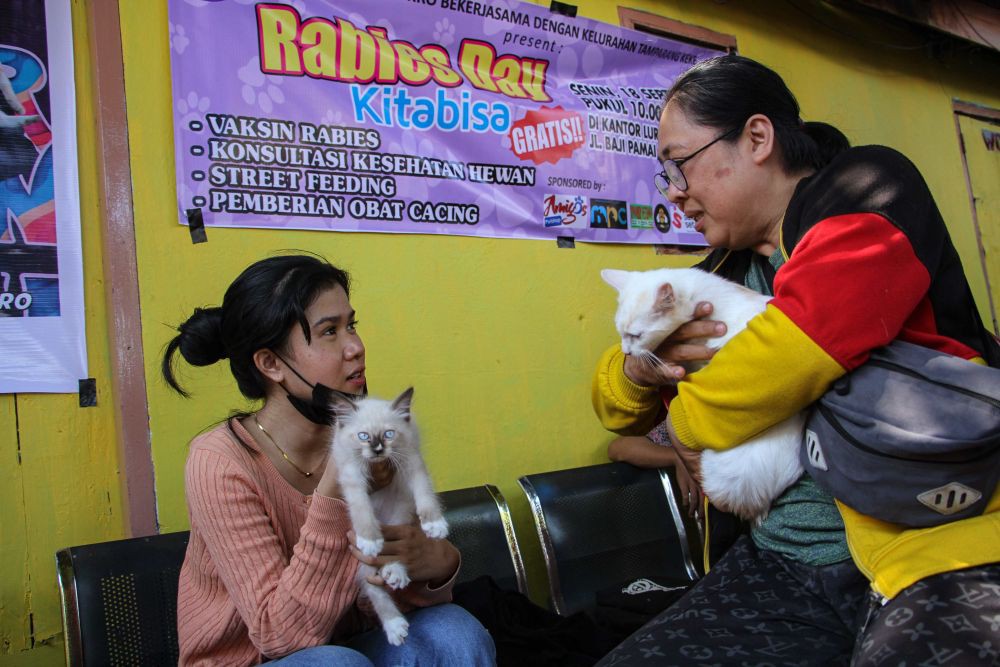 Pegiat Hewan Gelar Vaksinasi Kucing dan Anjing Gratis di Makassar