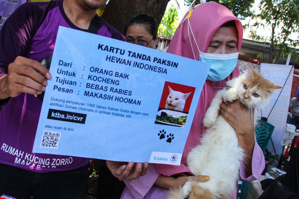 111 Kasus Gigitan Hewan Penular Rabies di Bandar Lampung Selama 2024