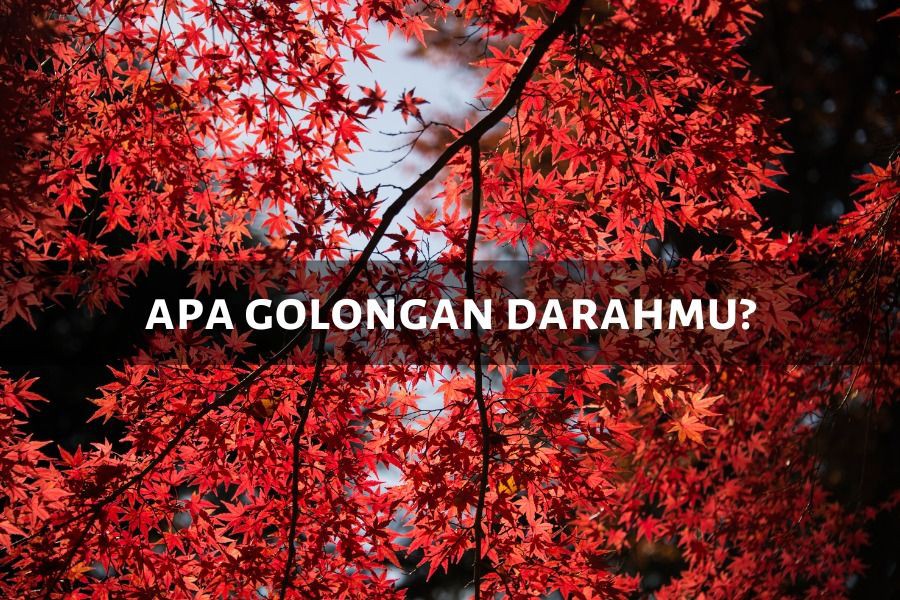 [QUIZ] Dari Golongan Darahmu, Kami Tebak Inisial Nama yang Mungkin Berjodoh Sama Kamu