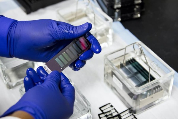 Kisaran Biaya Tes DNA di Puskesmas, Lengkap dengan Fungsinya