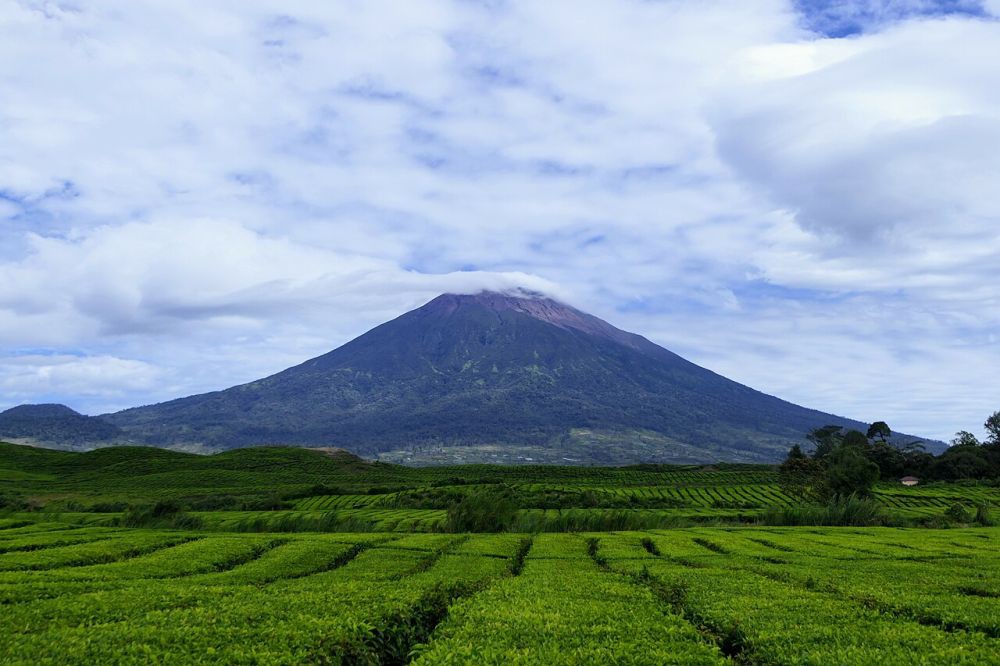 5 Spot Terbaik untuk Melihat Gunung Kerinci di Jambi, Eksotis!