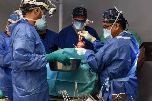 Transplantasi Jantung Babi Berhasil Dilakukan pada Pasien yang Sekarat