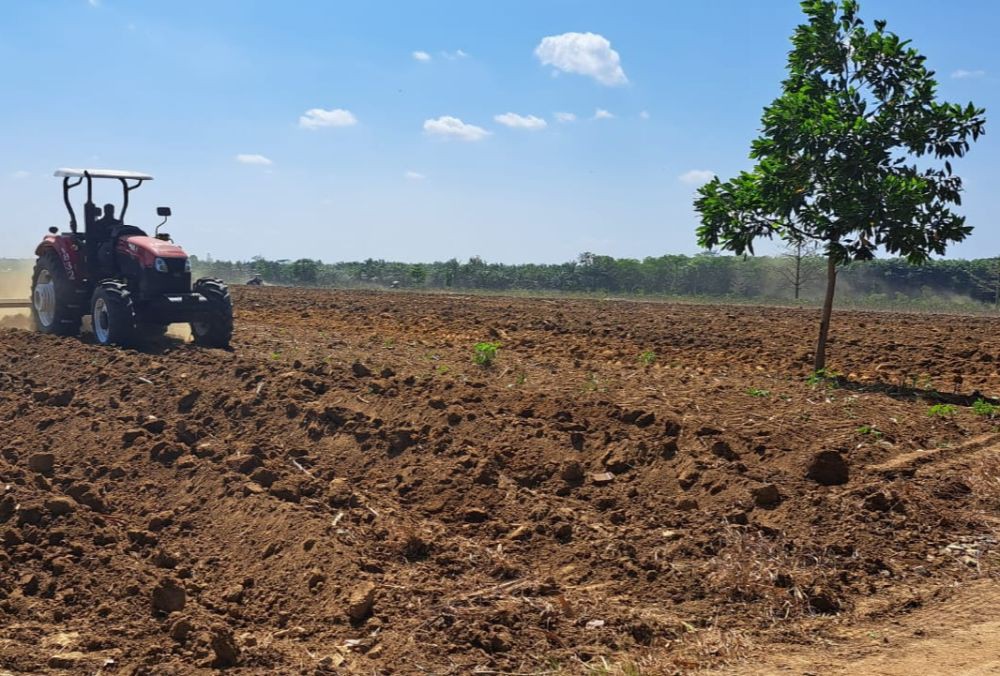 Petani Terdampak Eksekusi PT BSA Mulai Urus Ganti Rugi Tanam Tumbuh