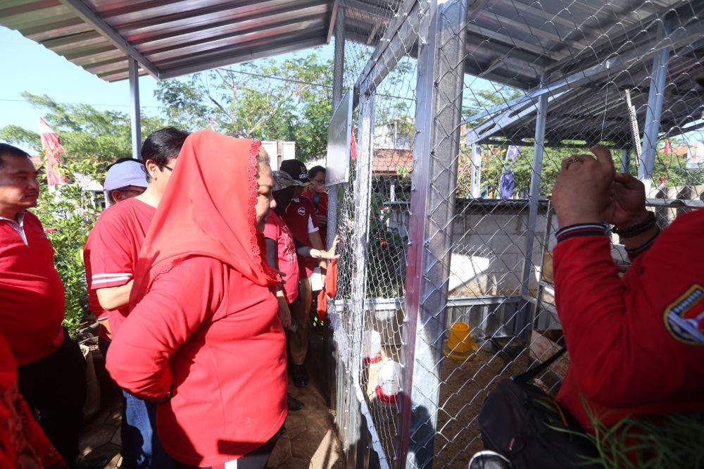 Luncurkan Perdu Semerbak, 3 Wilayah Semarang Jadi Sasaran Pembagian Bibit Sayur dan Unggas