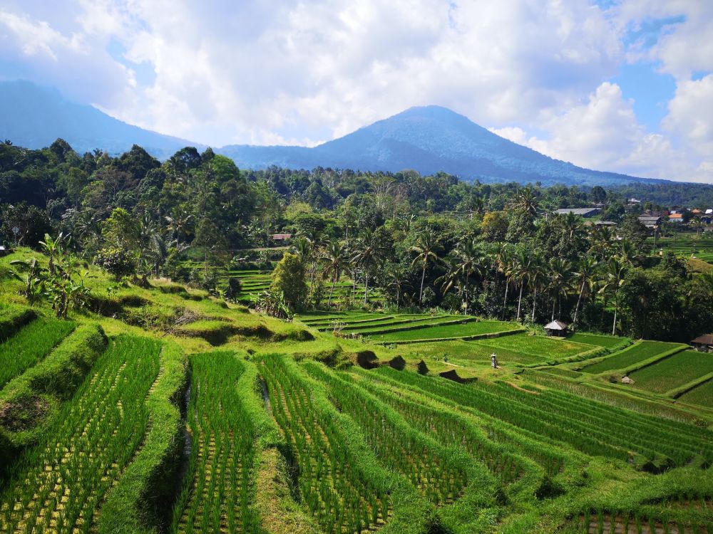 7 Sisi Lain Bali yang Jarang Diketahui Wisatawan, Termasuk Kamu?
