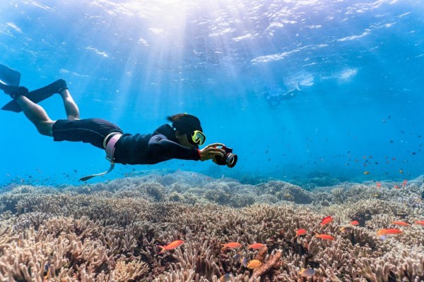5 Cara Hemat untuk Snorkeling yang Seru Tanpa Menguras Kantong