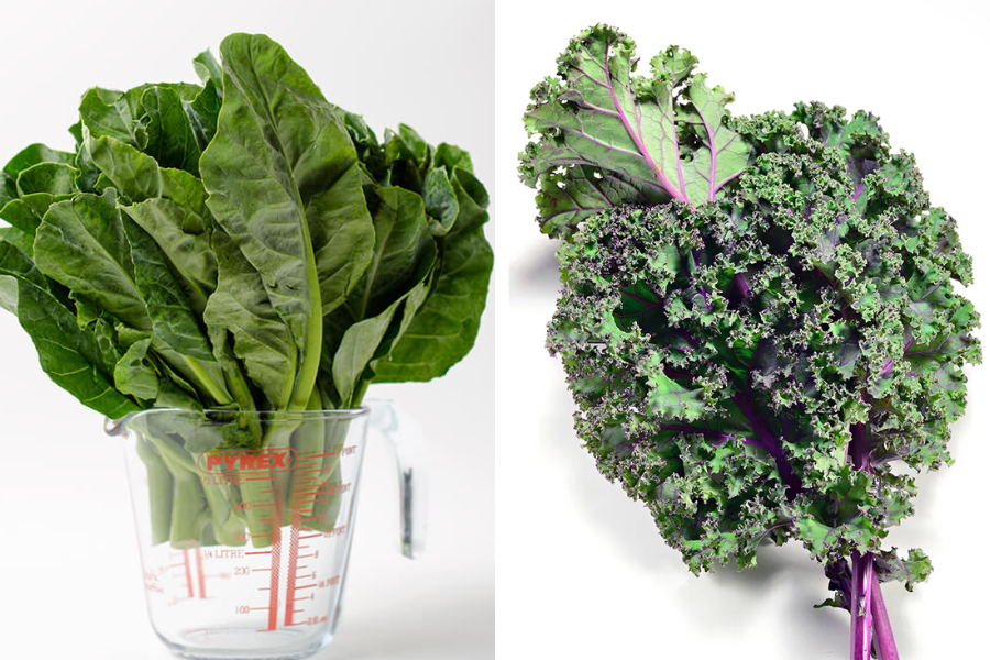 4 Perbedaan Kailan dan Kale yang Wajib Kamu Tahu
