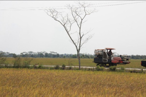 Demi Masa Depan Pertanian, Kementan Terus Gencarkan Program Ini