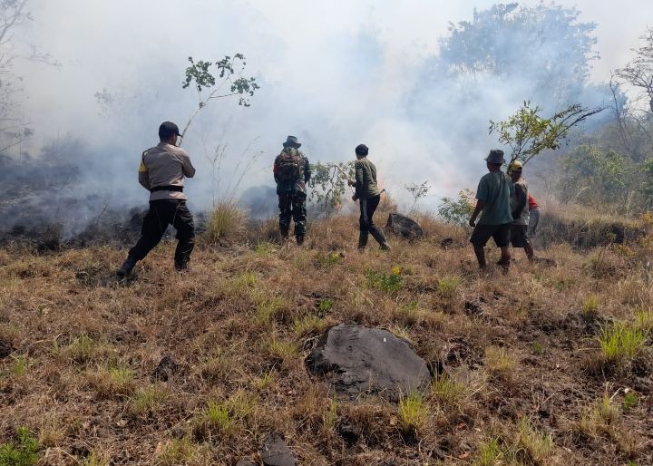 Meluas, Kebakaran Hutan Gunung Agung Hingga 85 Hektare