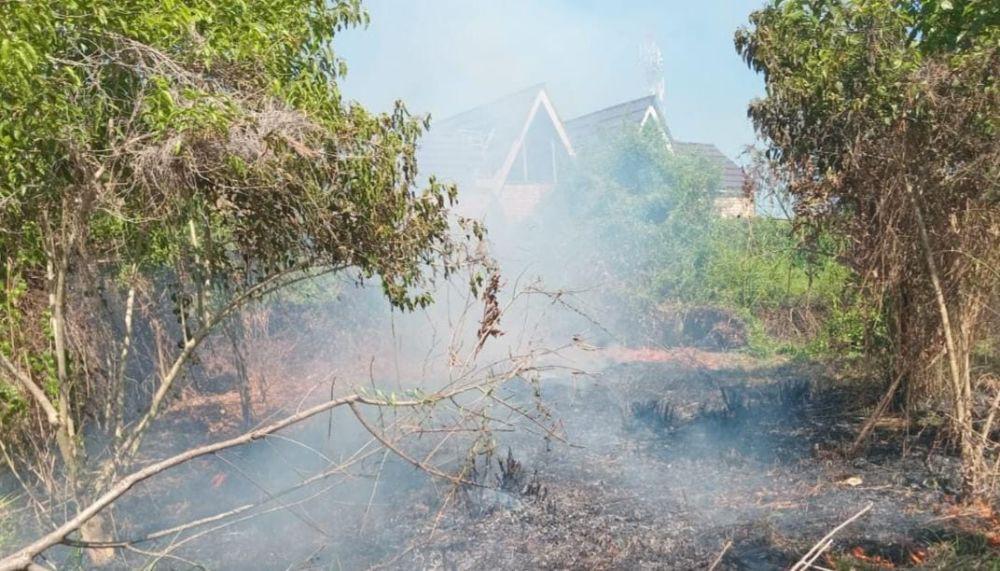 Mata Sampai Terasa Perih, Kabut Asap di Banjarmasin Semakin Parah