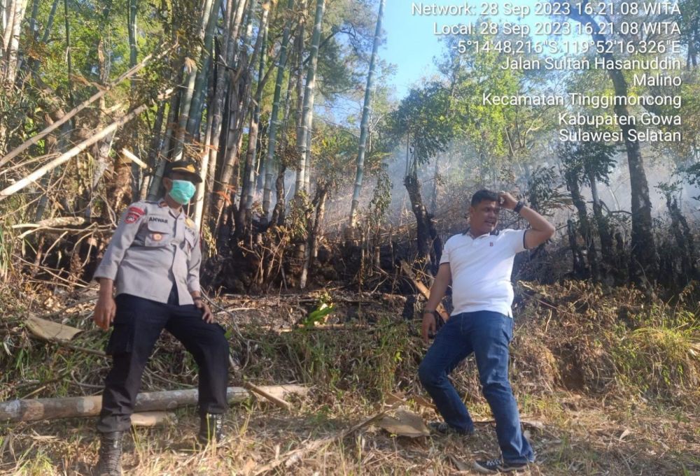 Damkar Gowa Sebut Kebakaran Hutan Pinus Malino Sudah Dipadamkan
