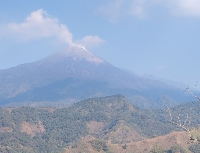 Viral Karhutla Bukit Cendono di Kabupaten Mojokerto