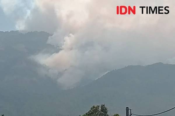 Karhutla Gunung Lawu, BPBD Ngawi Minta Bantuan Water Bombing