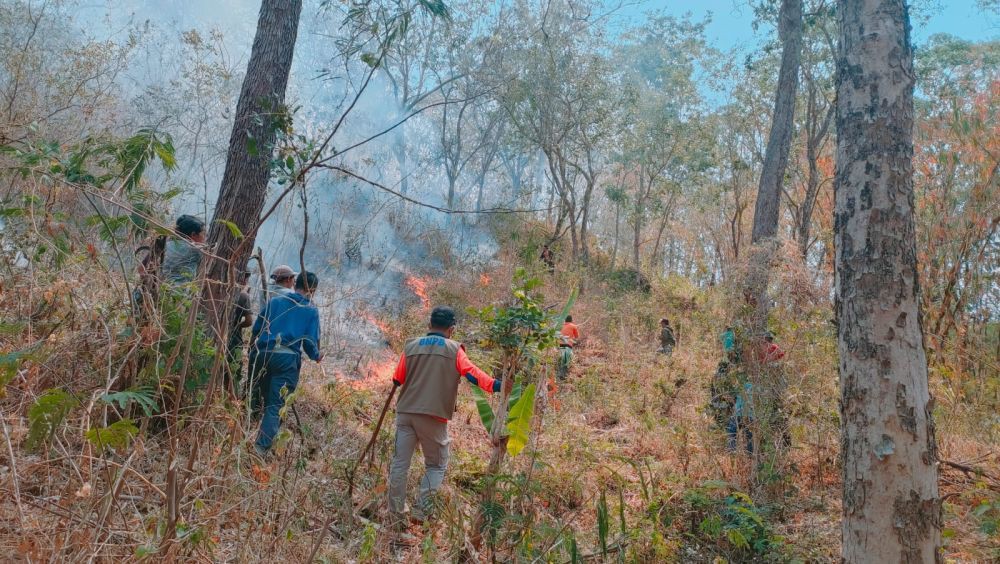 Kebakaran Hutan di Gunung Agung Capai Luasan 500 Hektare