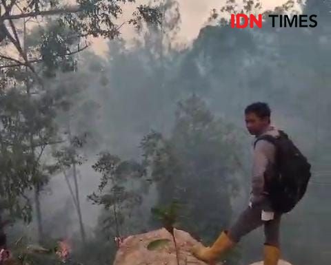 Sudah 2000 Hektare Hutan Lindung di Gunung Lawu Ngawi Ludes Terbakar