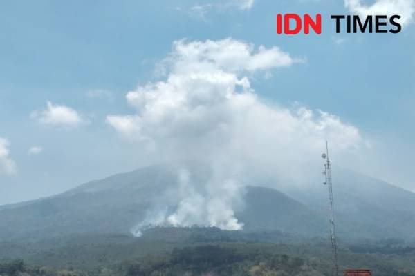 Sudah 2000 Hektar Hutan Lindung Di Gunung Lawu Ngawi Ludes T