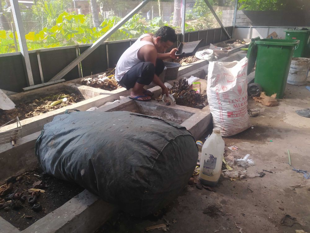 Bank Sampah Sultan Tanjung Ubah Magot Jadi Camilan Ekstrem