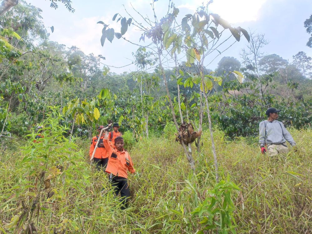 Berburu Luwak, Mbah Suwardi Raib di Hutan Pinus Lerep Ungaran