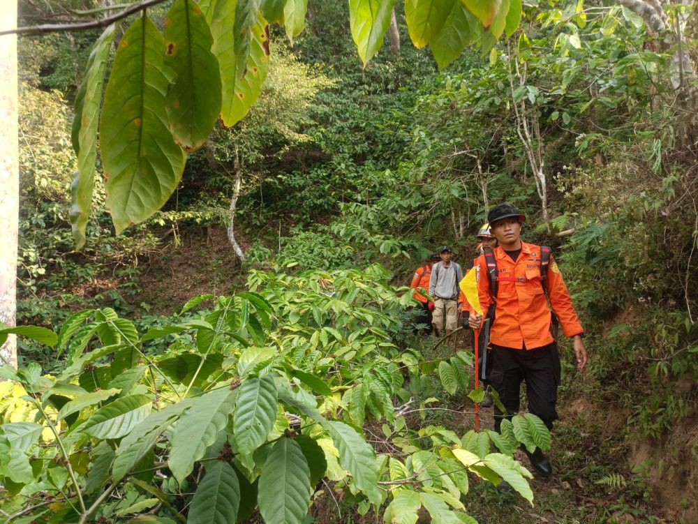 Berburu Luwak, Mbah Suwardi Raib di Hutan Pinus Lerep Ungaran