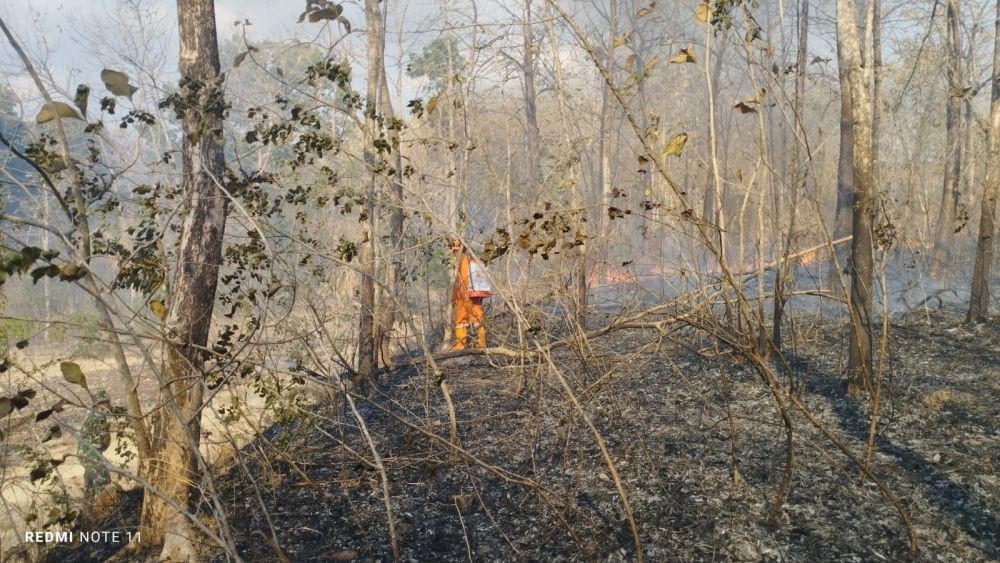 9 Hektare Lahan di Sragen Terbakar akibat Ulah Warga Membakar Sampah