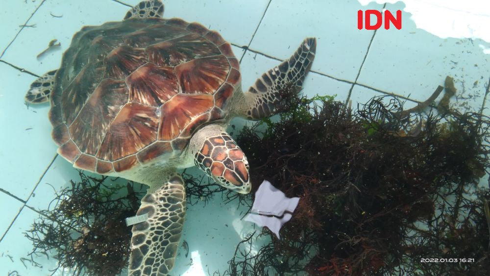 10 Kebun Binatang dan Penangkaran Satwa Langka di Bali