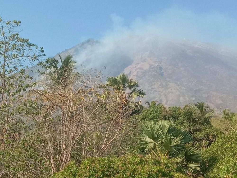 Hutan Gunung Agung dan Batur Terbakar, Bali Siaga Darurat 14 Hari