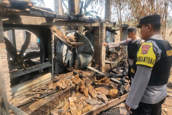 Kandang di Lampung Terbakar, 6.500 Bibit Ayam Mati Terpanggang