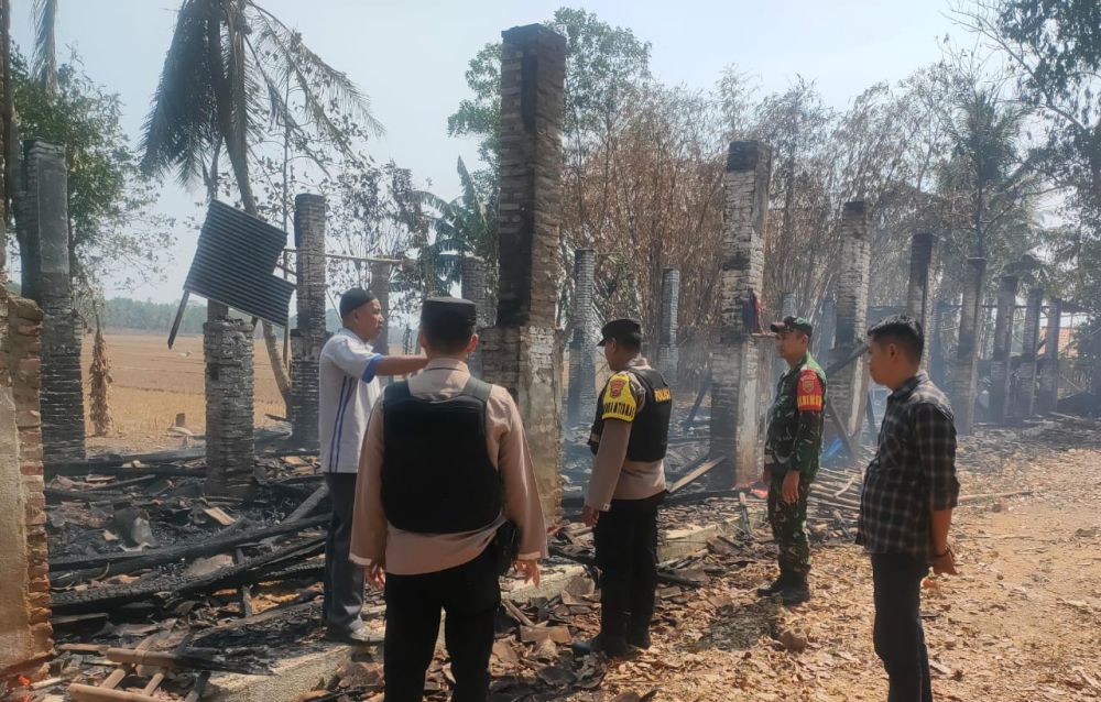 Ribuan Ayam Mati Terpanggang di Pringsewu, Dipicu Kandang Terbakar