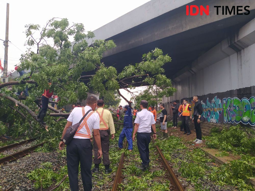Pohon Tumbang, Kereta Api Feeder Whoosh Tertahan Hampir Satu Jam