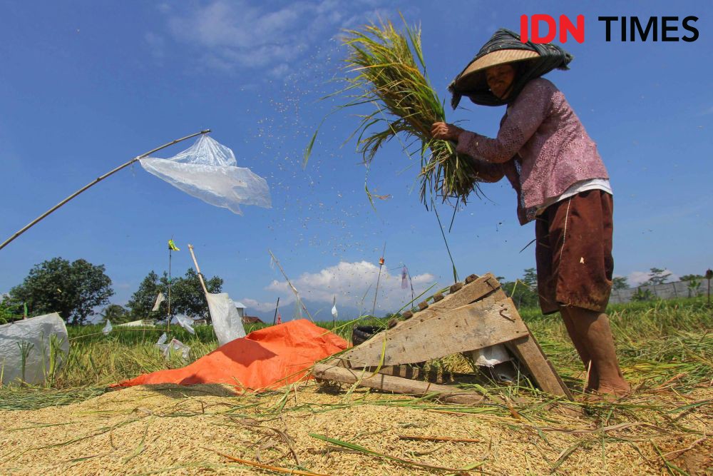 [FOTO] Suplai Energi Pertamina Menjaga Ketahanan Pangan Dalam Negeri