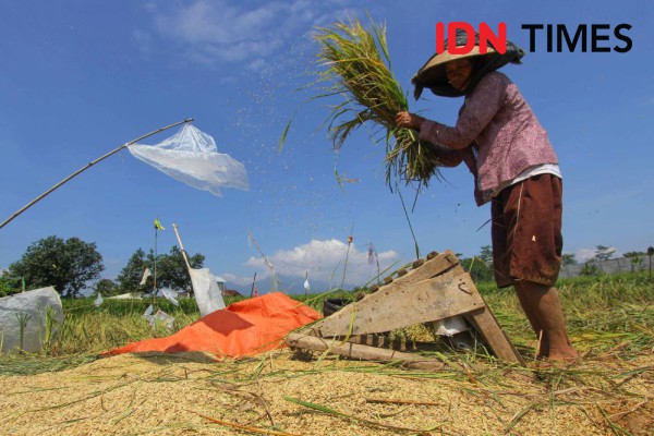 Apa Itu Petani Gurem? Ramai Dibicarakan Saat Debat Cawapres