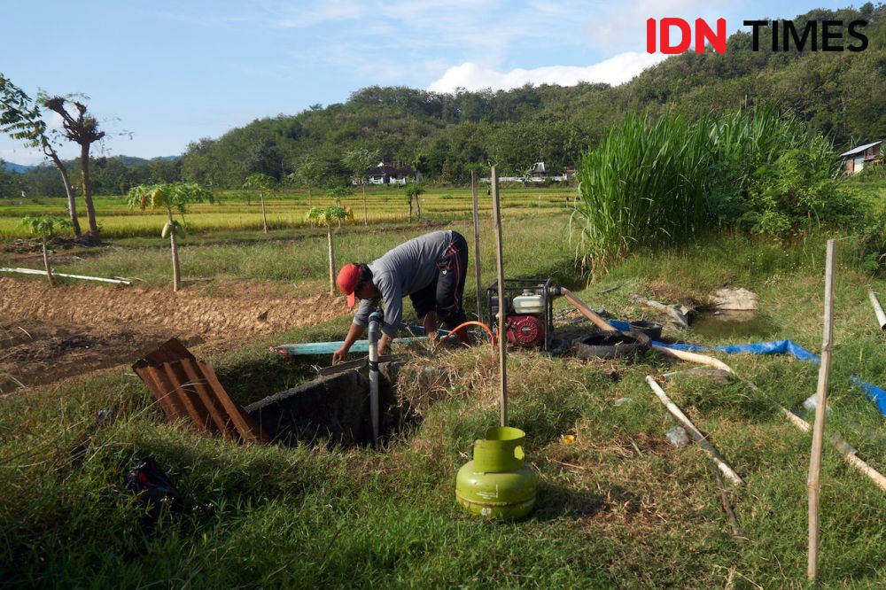 [FOTO] Suplai Energi Pertamina Menjaga Ketahanan Pangan Dalam Negeri