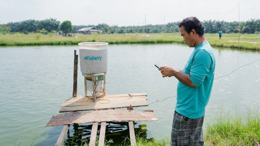 Budidaya Ikan Air Tawar Digeber, Sumut Gandeng eFishery