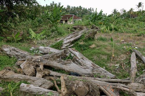 Jelang Musim Hujan, Apakah Bali Siap Antisipasi Bencana?