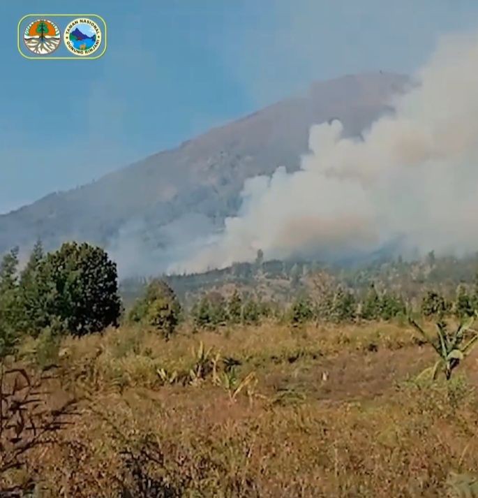55 Hektare Hutan Rinjani Terbakar, Pendaki Diminta Waspada