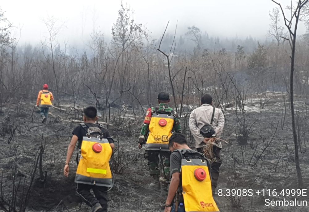 130 Hektare Hutan Rinjani Hangus Terbakar, Api Berhasil Dipadamkan
