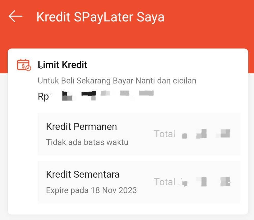 3 Cara Menaikkan Limit Shopee PayLater, Cek Syaratnya!