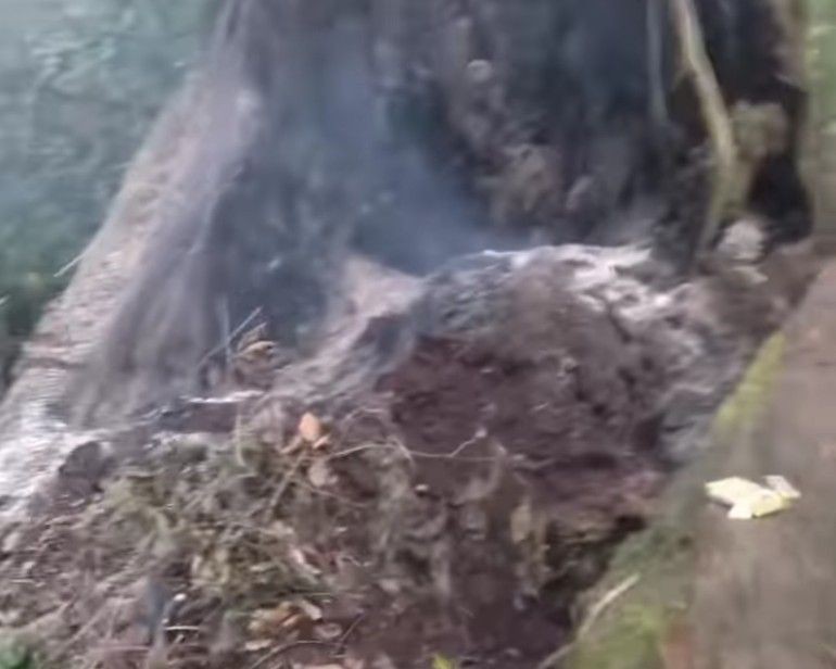 Jalur Pendakian Gunung Dempo Nyaris Terbakar Akibat Ulah Pendaki Nakal