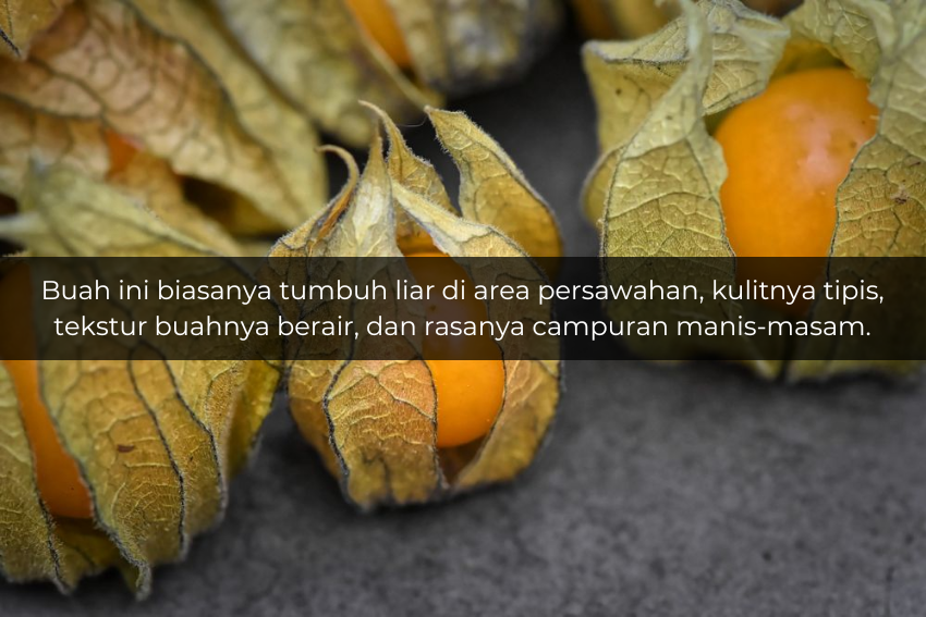 [QUIZ] Tebak Nama Buah Lokal yang Sudah Langka Ini!