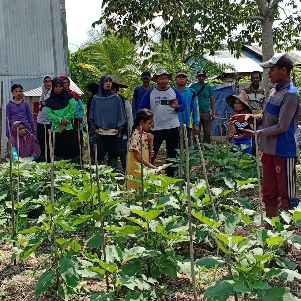 Dharsono Hartono Perangi Krisis Iklim, Restorasi Gambut Kalimantan