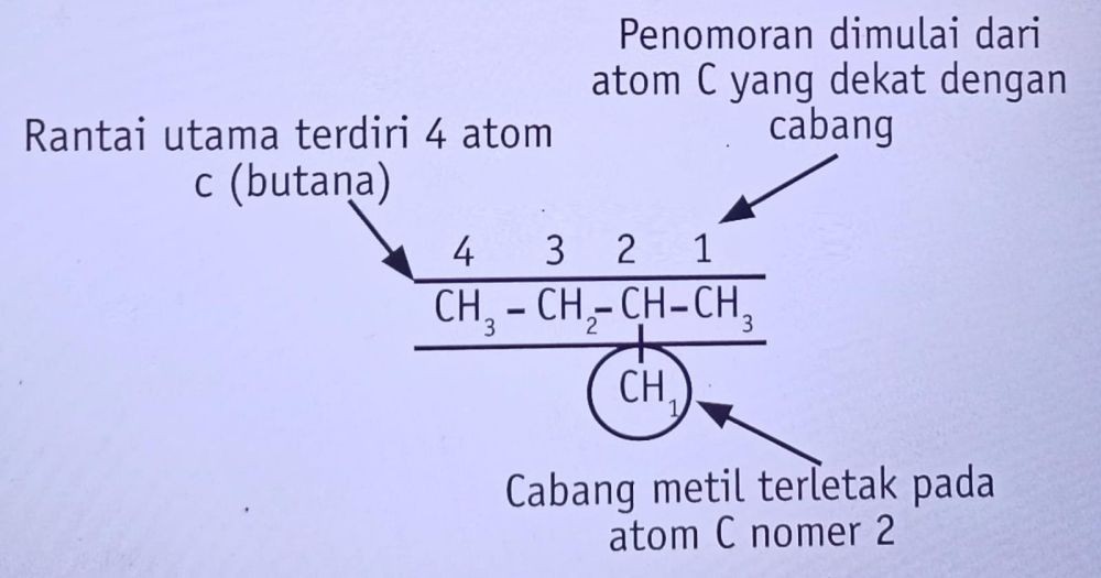 20 Contoh Latihan Soal Hidrokarbon Dan Pembahasannya, Simak!