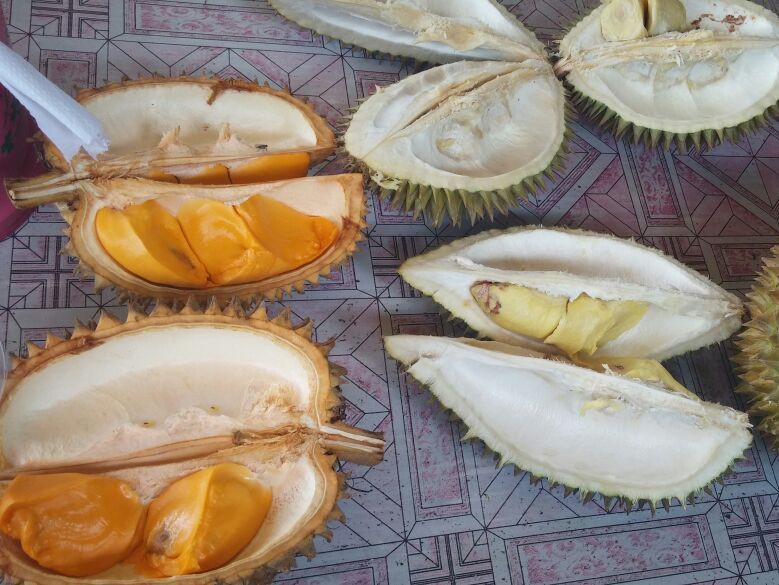 Cara Ampuh Menghilangkan Bau Durian Di Tangan