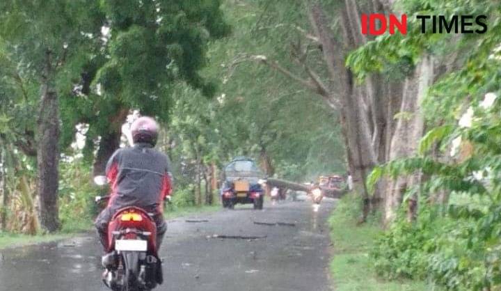 Magetan Dilanda Cuaca Ekstrem, 5 Rumah Warga Tersambar Petir